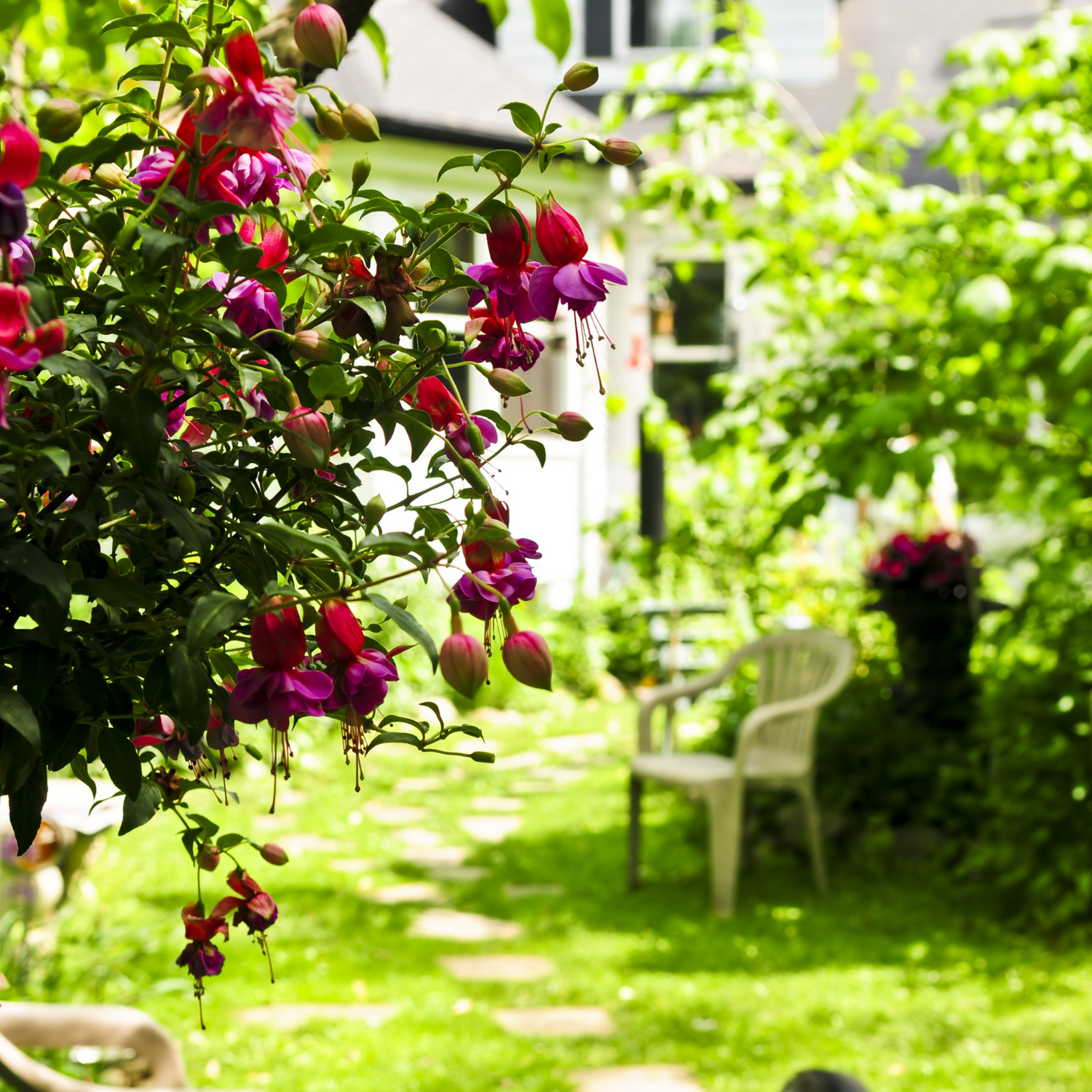 🏡 Home & Garden Essentials