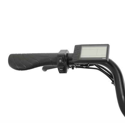 Europe Germany X-City Cysum 48V 250W Women E Bike 26 250W Battery Electric Cycle